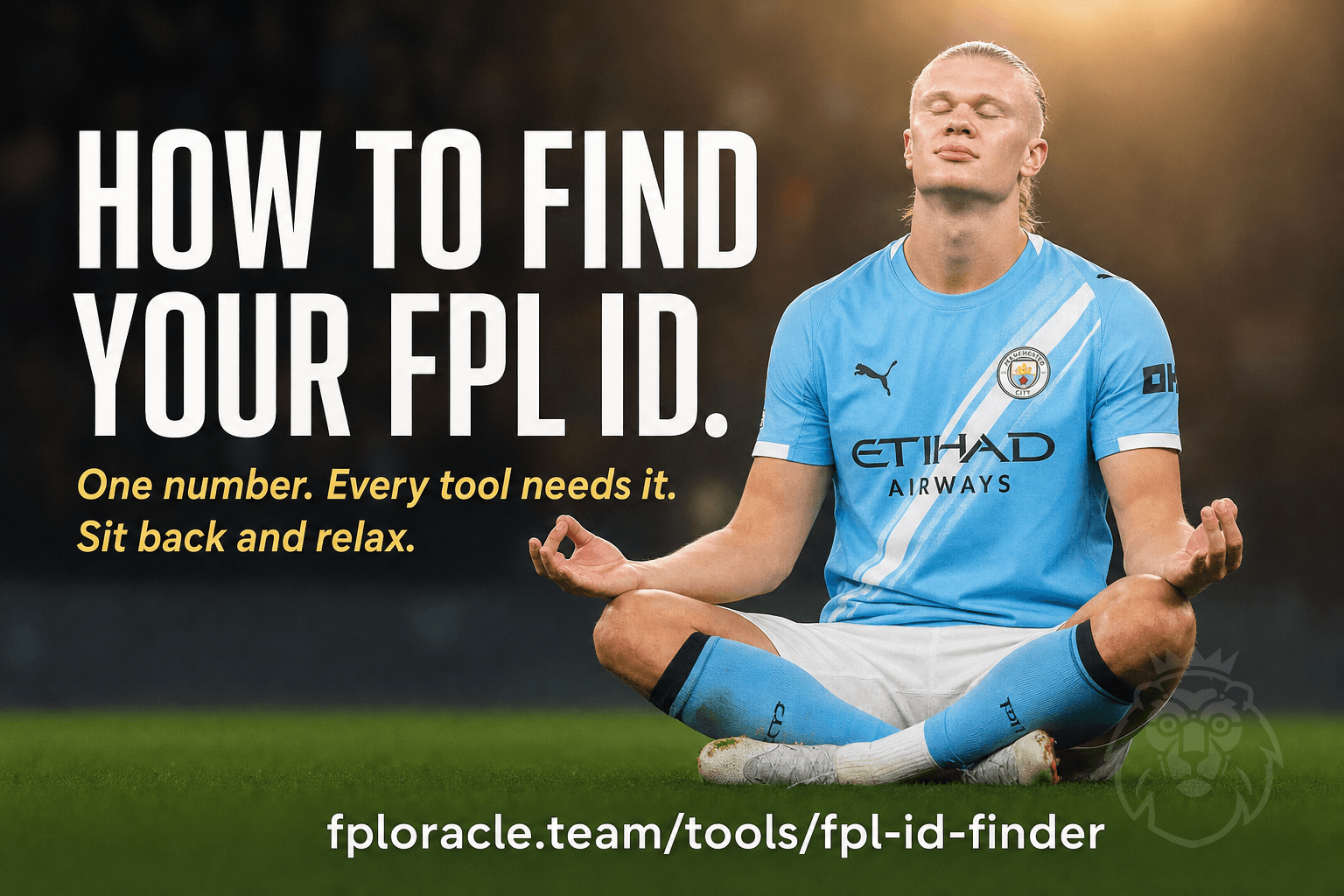 How to Find Your FPL Team ID in Seconds (Just Type Your Name)